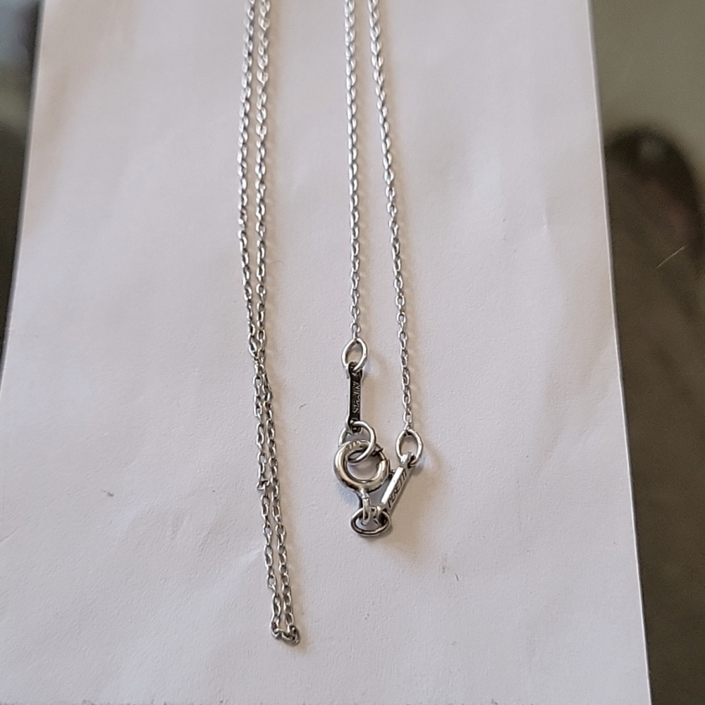 Elsa Peretti Signature Tiffany and Co Necklace